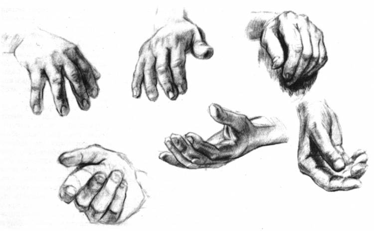 Как нарисовать кисти рук»