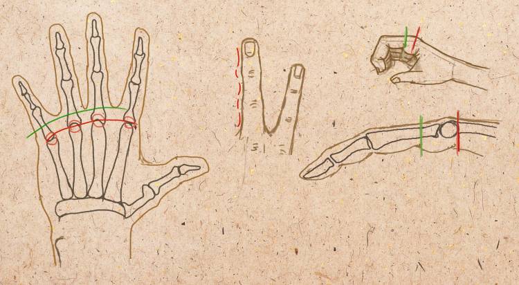 Как рисовать руки руку человека