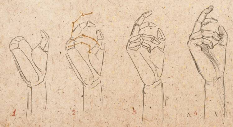 Урок рисунка карандашом ладоней рук » Как нарисовать поэтапно