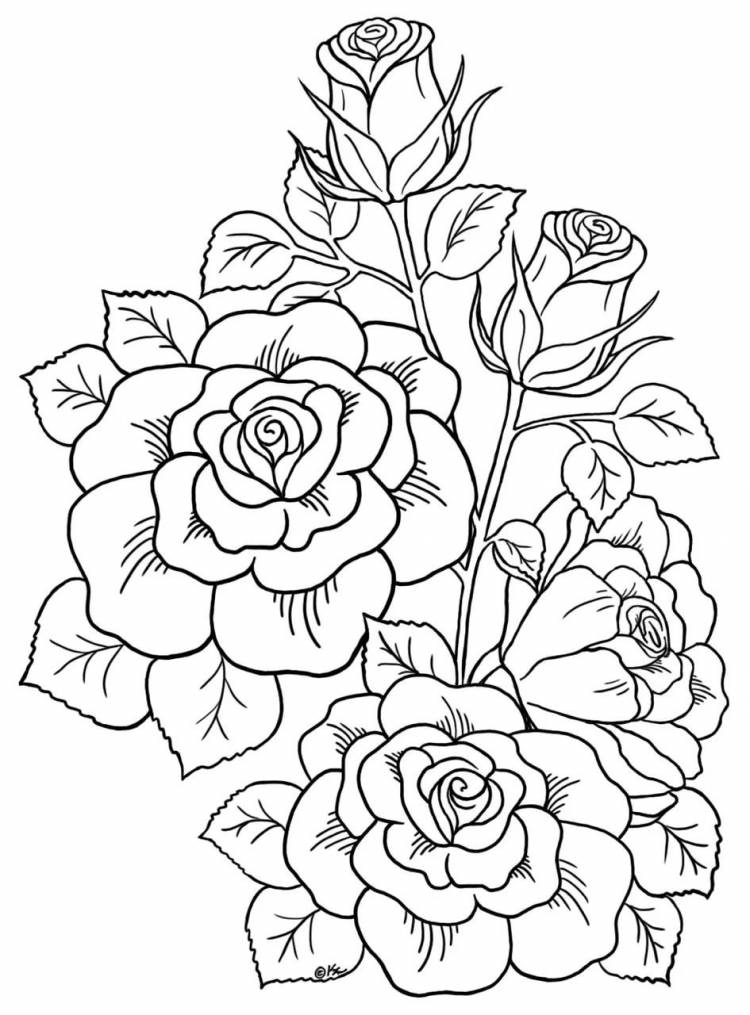 Красивые раскраски розы