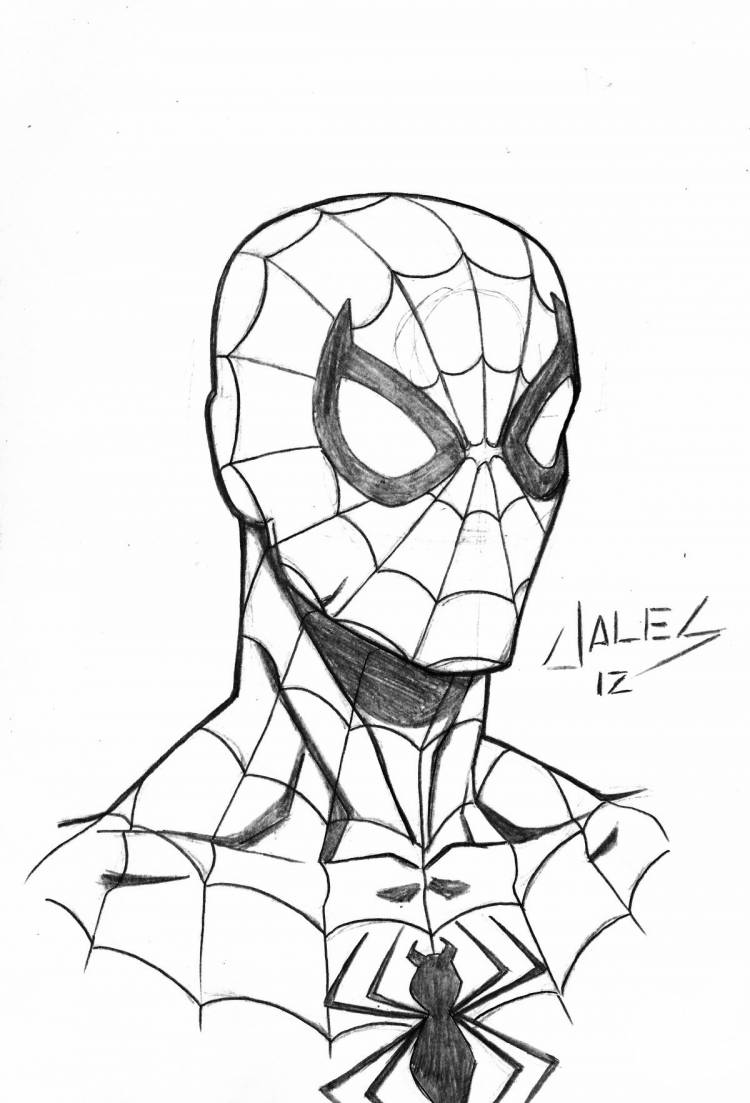 Рисунок простым карандашом человек паук