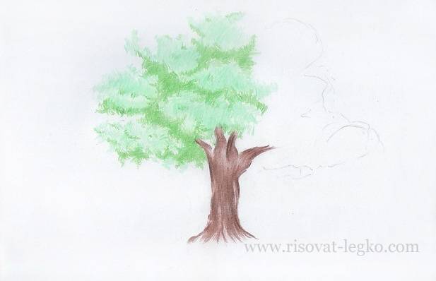 Как рисовать дерево поэтапно цветными карандашами