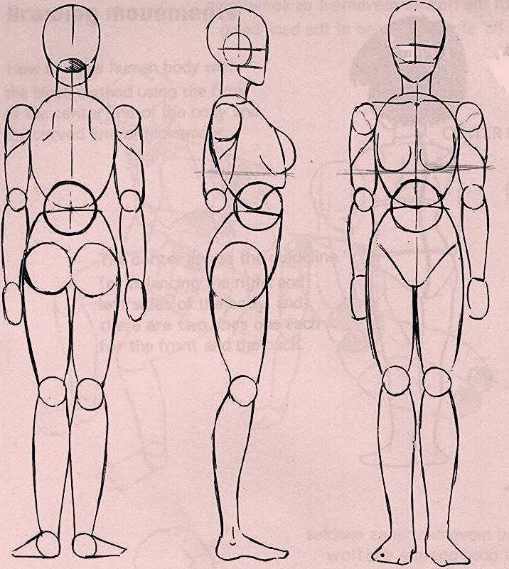 Как рисовать тело человека
