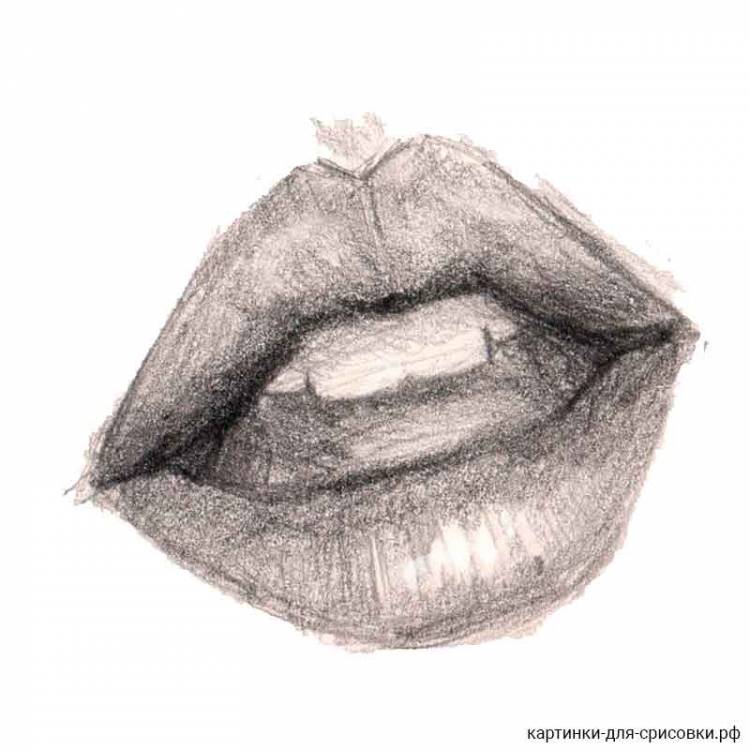 Рисунки губ для срисовки 