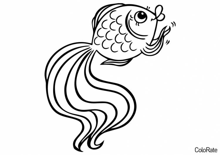 Раскраска Золотая рыбка распечатать