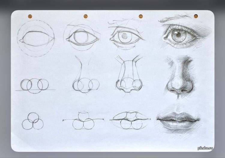 Как рисовать черты лица