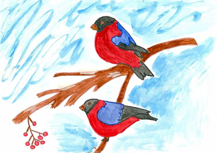 Зимующие птицы рисунки детские 