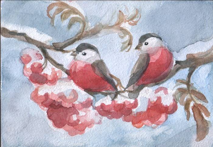 Срисовки зимних птиц 