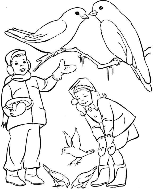 Срисовки зимних птиц