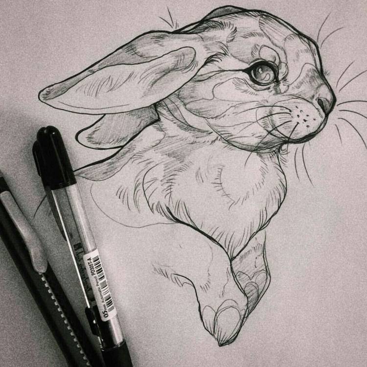 Идеи для рисунков карандашом животные
