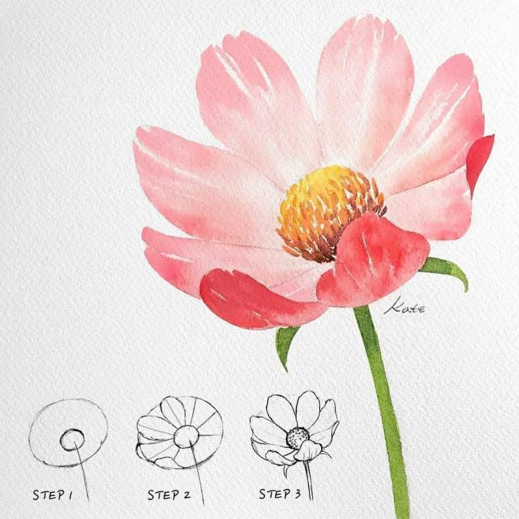 Рисунок цветы легко для срисовки
