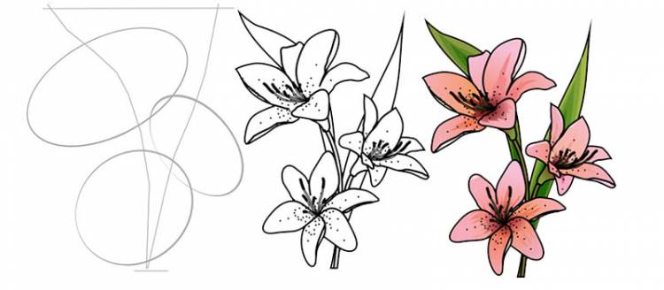 Рисунки цветов для срисовки поэтапно
