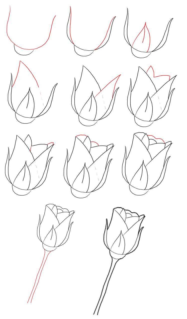 Как нарисовать розу поэтапно карандашом для детей, в вазе, гуашью для начинающих и др