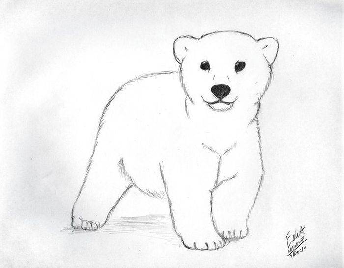 Картинки белого медведя для детей