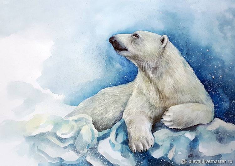 Картина акварель с белым медведем Зимнее настроение в интернет