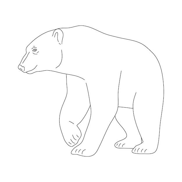 Белый медведь в линейном стиле рисования векторная иллюстрация