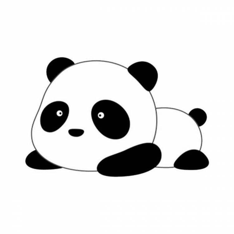 Рисунок панды для срисовки