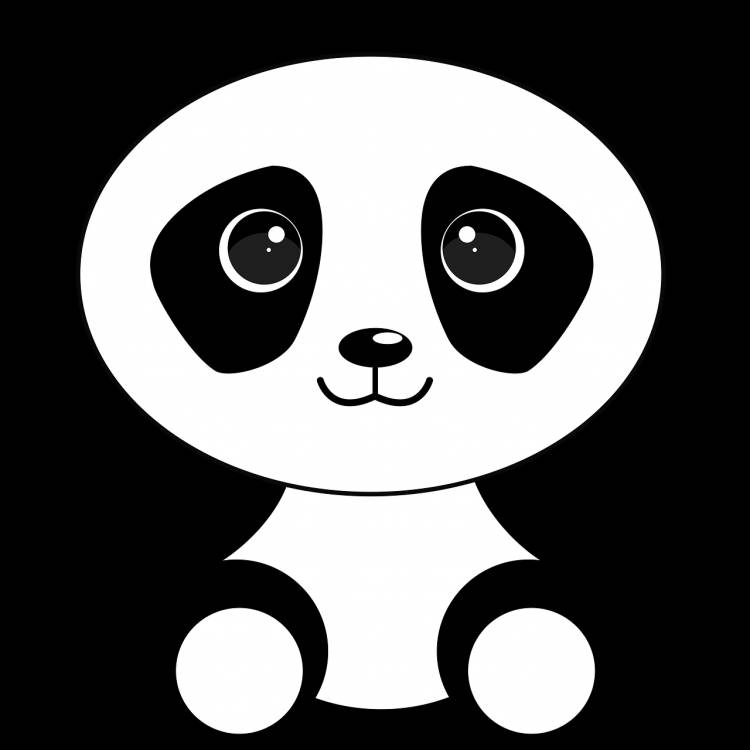 Панда контурный рисунок 