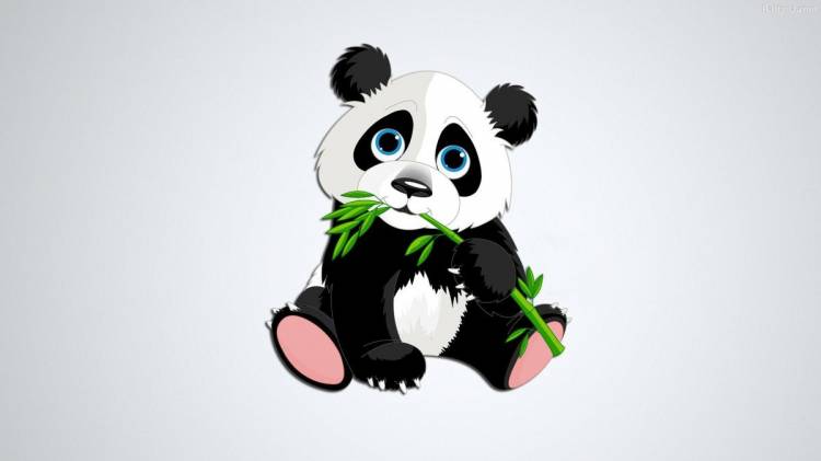 Рисунки панды для срисовки 
