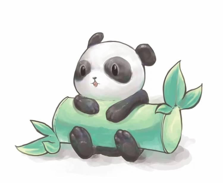 Рисунки для срисовки панда легкая