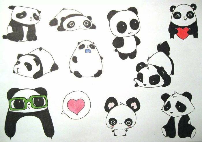 Рисунки панды для срисовки карандашом