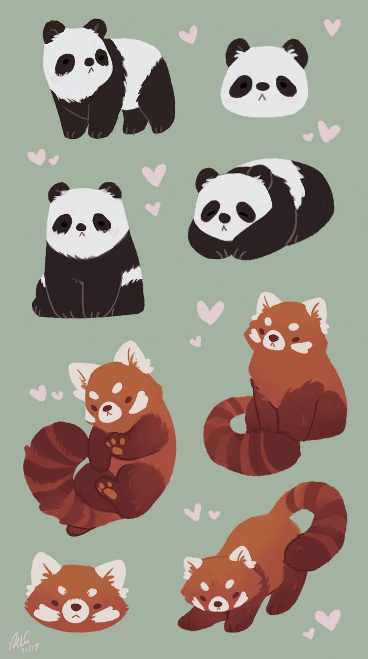 Рисунок красная панда для срисовки