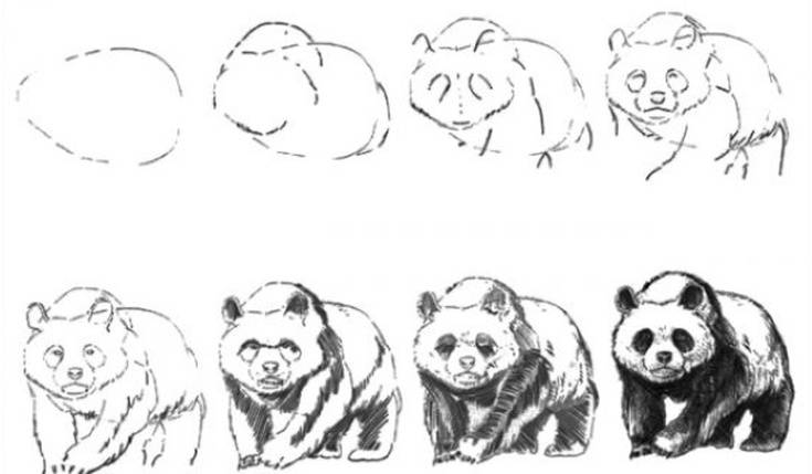 Как нарисовать панду карандашами и красками поэтапно