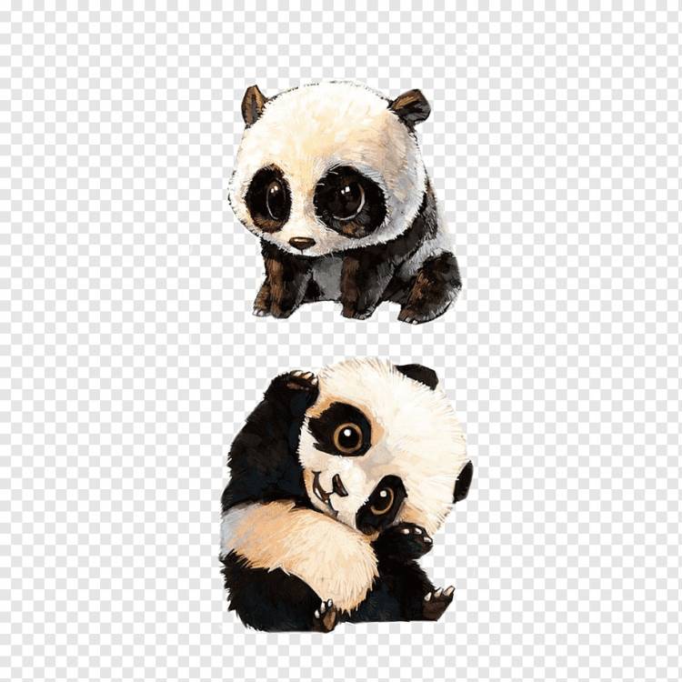 Иллюстрация двух панд, Гигантская панда Красная панда Рисунок с изображением панды Медведь, Раскрашенная вручную панда, Акварельная живопись, ребенок, роспись png