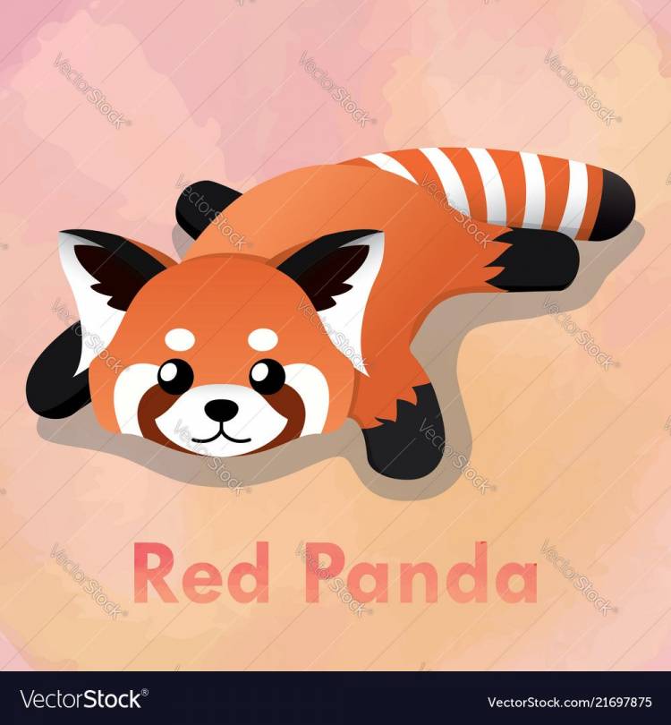 Красная панда рисунок карандашом для срисовки