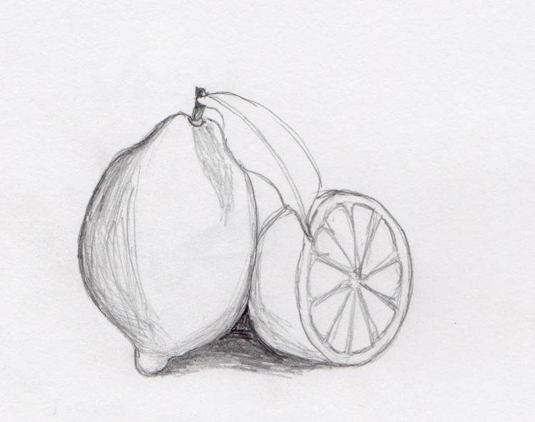 Рисунки фруктов карандашом для срисовки