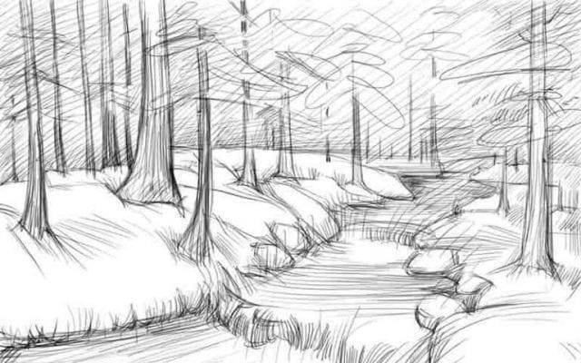 Рисунки для срисовки лес 