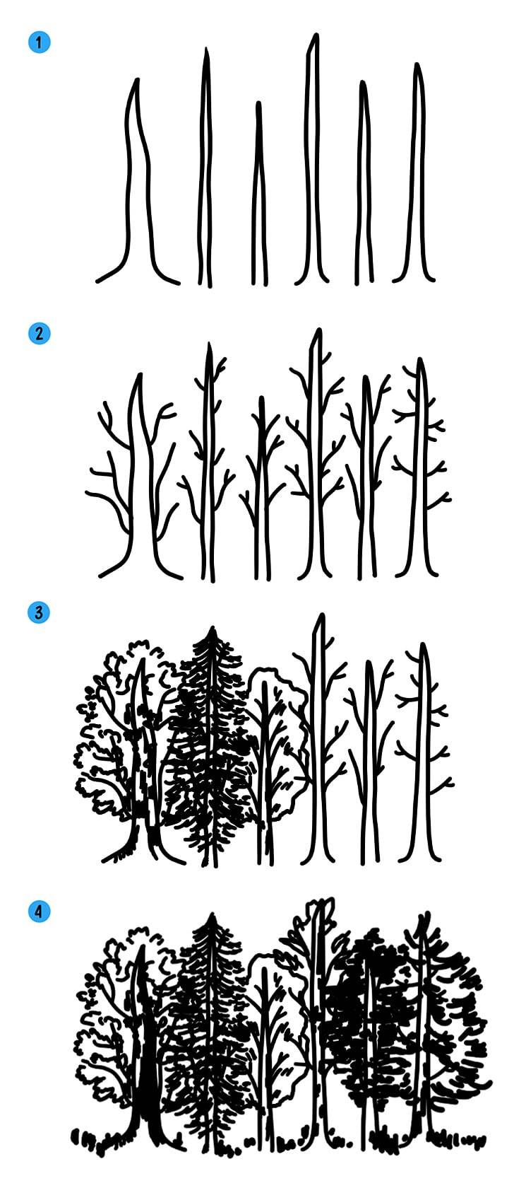 Как нарисовать (рисовать) лес с деревьями » Рисуем легко и поэтапно