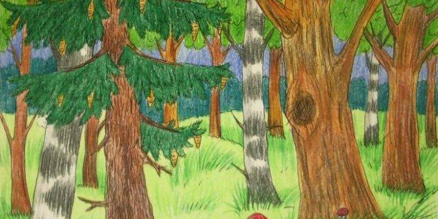 Рисунки для срисовки лес 
