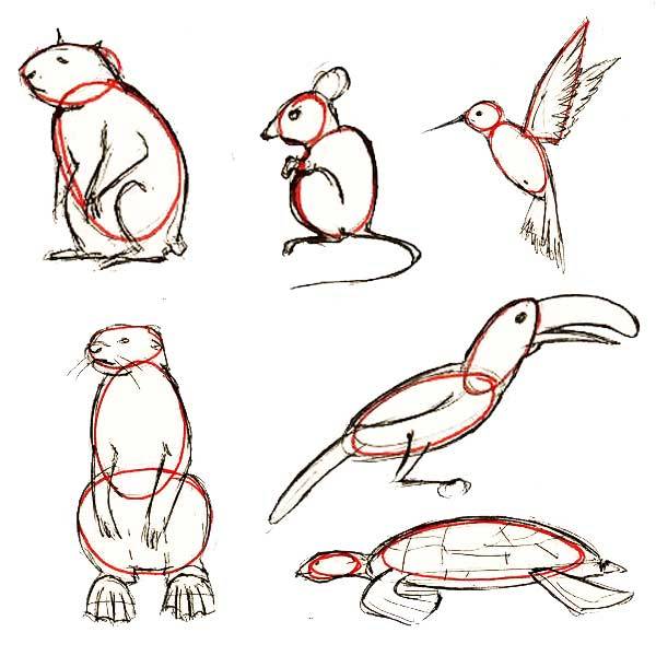 рисунков животных для срисовки карандашом