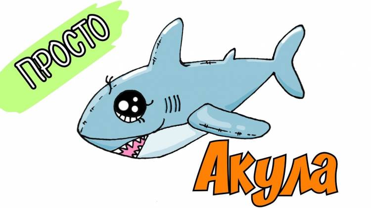 Рисунок акулы