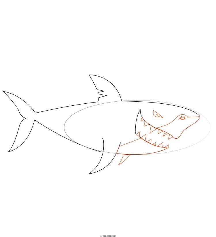 Рисунки для срисовки акула легко