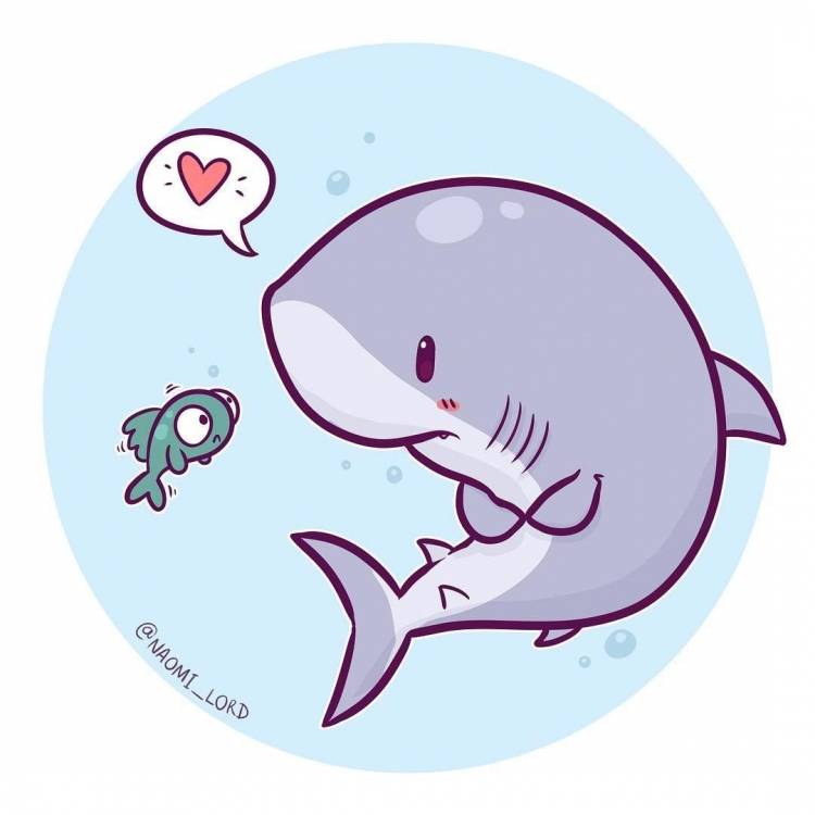 Маленькая акула рисунок