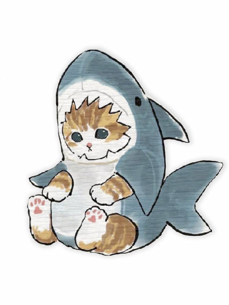 Кот акула рисунок
