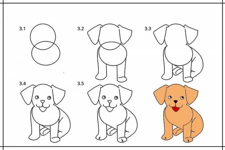 Рисунок собаки поэтапно карандашом легко для детей 