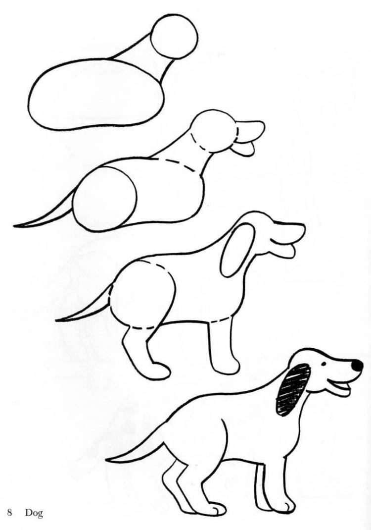 Рисунок карандашом для начинающих поэтапно собака