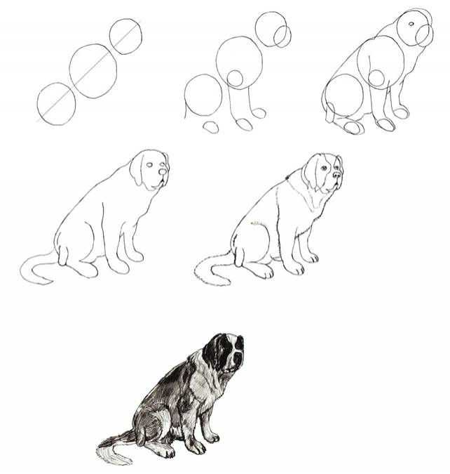 Как нарисовать собаку, щенка ?