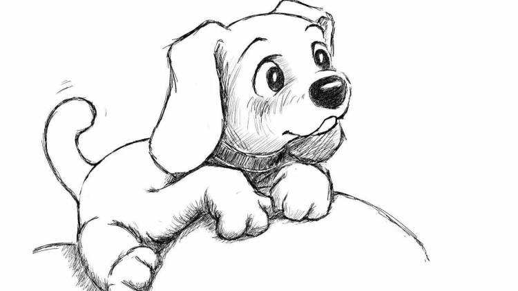 Рисунки животных собак 