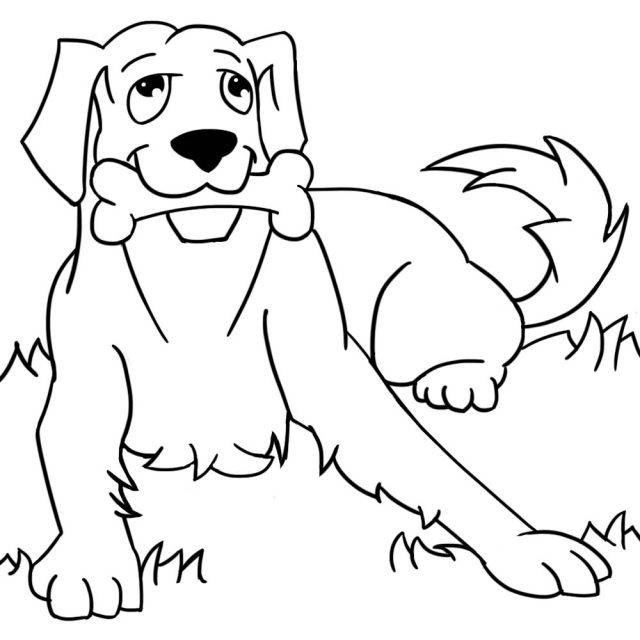 Рисунки собак карандашом для срисовки поэтапно 