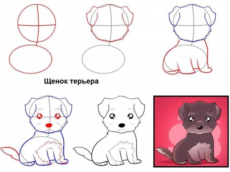 Рисунок собачки для детей карандашом поэтапно легко для начинающих 