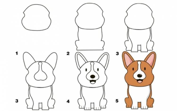 Собаки срисовки легкие пошаговые 