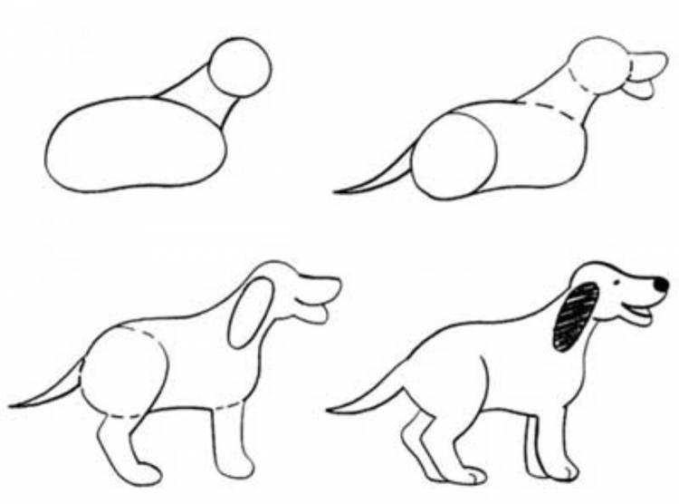 Собака рисунок легко