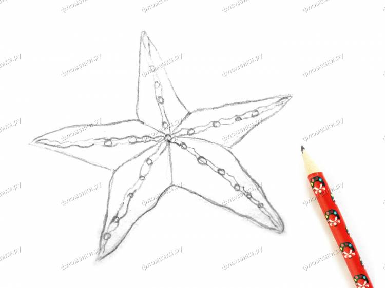 Как нарисовать морскую звезду поэтапно