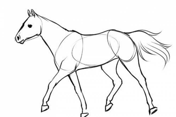 Рисунки лошади карандашом для детей поэтапно 