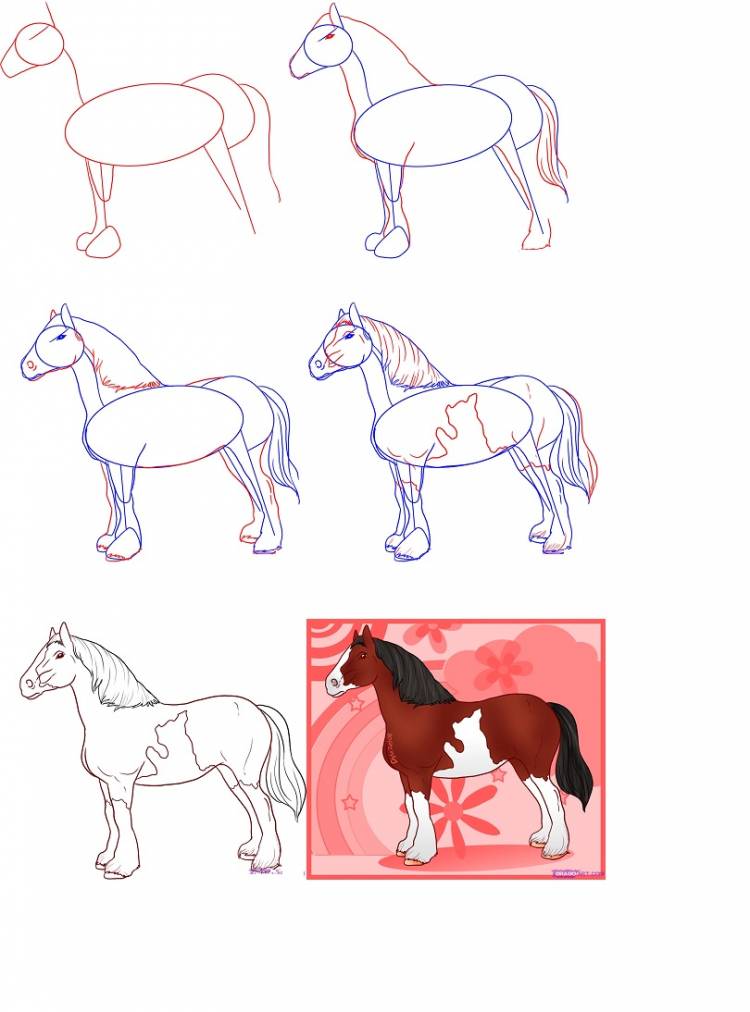 Картинки лошадей для срисовки 