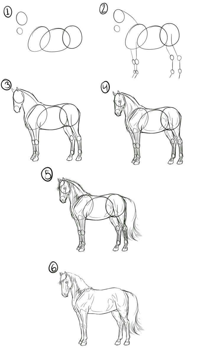 Как нарисовать лошадь поэтапно карандашом 